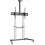 Suporte para TV Fixo - Aisens - FT100TE-259 - 100 kg - 60 polegadas - Multicolorido 1