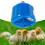 Cultivation Heating Lamp Thermostat for Chicken 3