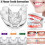 3pcs/set Dental Tooth Orthodontic Appliance Trainer for Alignment Braces 1