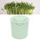 Large Capacity Food-Grade Bean Sprouts Machine, 18x18x18cm 1
