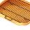 Dog Potty Tray Flat Plate Type Spill Proof Large 11