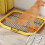 Dog Potty Tray Flat Plate Type Spill Proof Large 9