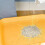 Dog Potty Tray Flat Plate Type Spill Proof Large 8