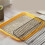 Dog Potty Tray Flat Plate Type Spill Proof Large 6
