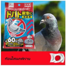 Répulsif Oiseaux Efficace pour Pigeons Colombes Goélands | Stop aux Fientes Excréments Déjections | Toit et Balcon | Anti-Nuisible