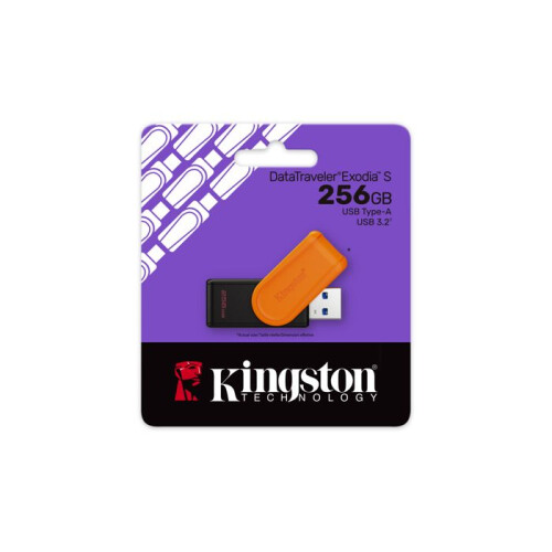Kingston KINGSTON 256Go Portable USB 3. 2