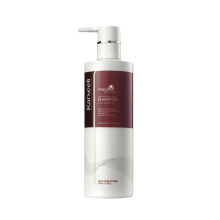 Karseell Arganl-Shampoo, Kruterextrakt, feuchtigkeitsspendendes Tiefenreparatur-Glattshampoo fr trockenes und strapaziertes Haar, 16,9 Unzen, 500
