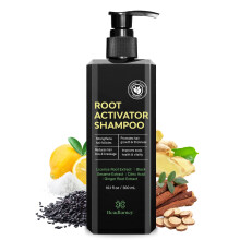 Wurzelaktivator-Shampoo fr Mnner: Haarwuchs-Shampoo gegen Haarausfall und dnner werdendes Haar 10,1 fl oz / 300 ml