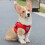 Dog Harness and Leash Set Reflective Adjustable 9
