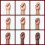 Revlon Nail Enamel Divine,Revlon Classic,8026-63 4