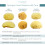 Neptune Caribbean Sea Sponge 2 Pack Hand Cut Medium Approx. 5-6 inches 4