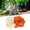 100 Sets Rabbits Ear Tag Numbered Ear Marker 10