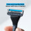 Dorco Pace 4 Pro - Four Blade Razor Shaving System - 2 Replacement Handles (Handles Only) 3