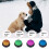 Dog Buttons Training Voice Recorder Squeeze Box 4