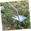Multi-Function Weeding Tool with Ergonomic Grip and Fork Tips for Gardening Professionals and Beginners, Durable Garden Remover 4