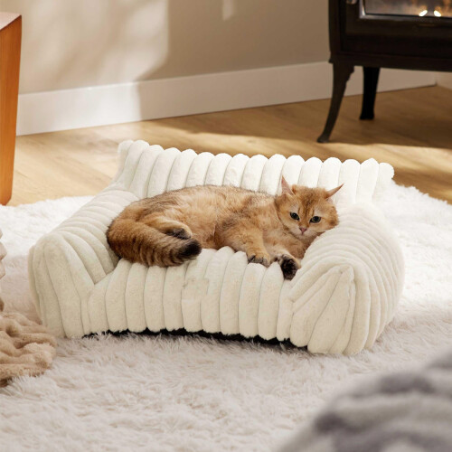 Cat Couch Bed Cute Pet Bed for Small Medium and 1