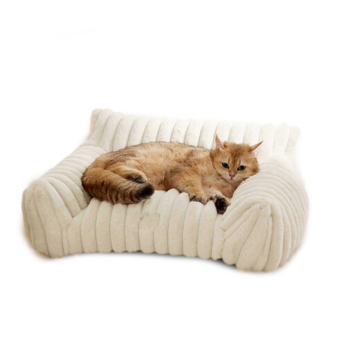 Cat Couch Bed Cute Pet Bed for Small Medium and 2