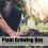 5 Set Reusable Plant Grafting Cutting Rooting 14