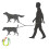 Hands-Free Dog Leash Nylon Pets Training Walking 4
