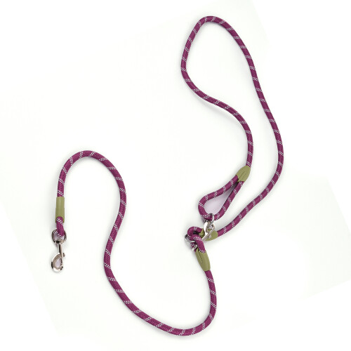 Hands-Free Dog Leash Nylon Pets Training Walking 1