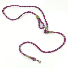 Hands-Free Dog Leash Nylon Pets Training Walking