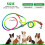 Hands-Free Dog Leash Nylon Pets Training Walking 7