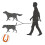 Hands-Free Dog Leash Nylon Pets Training Walking 4