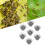 100Pcs Queen Bee Rearing Cell Cup Plastic Breeding 9