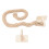 Wall Mounted Rope Cat Climber Stable Structure 6
