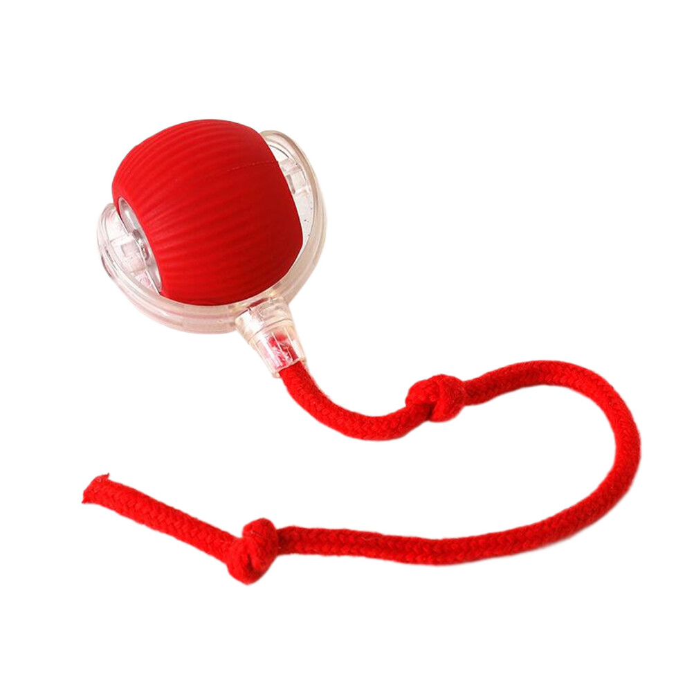 Red (Red) Interactive Dog Toys Healthy Silicone Easy To Clean Not Easily Damaged
