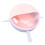 Puppy Milk Feeder Multi Nipples Plastic Easy to 10