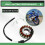 Statorspole til Yamaha R6 1999-2002 5