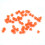 50pcs Beekeeping Queen Rearing Cell Cups Bee 2