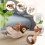 Interactive Chirping Bird Cat Toy Flapping Wings Bird 7