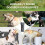 Handheld Ultrasonic Dog Trainer Outdoor Anti-Bark 14