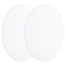 11.8" Acrylic Circles, 2 Pack Clear Plastic Cake Disks for Crafting, Painting, DIY Decorations, Transparent Blank Signs
