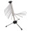 Sèche-pâtes transparent 33,5  41,5  20 cm 15