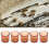 500Pcs Plastic Brown Cell Cups Queen Rearing Honey 6