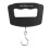 50kg/10g Portable Digital Precise Mini Fish Hook 3