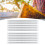 10Pcs Bee Royal Jelly Cups Sheet Bee Rearing 10