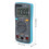 Auto Range True RMS Digital Multimeter AC/DC 14