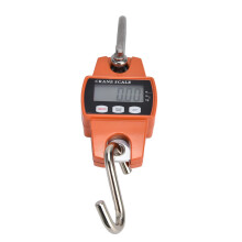 Small Digital Hanging Scale with LCD Display - Mini Crane Scale for Home and Business, Portable 110lb Capacity