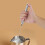 Kitchen Stainless Steel Handheld Battery Operated 11