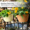 Wall Mounted Plastic Large Hanging Plant Pot 9