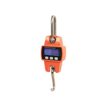 Digital Crane Scale 300kg Capacity Stainless Steel Heavy Duty LCD Electronic Balance with Precision Sensor