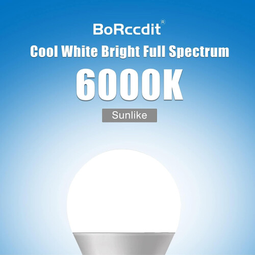 Full Spectrum Light Bulb 6000K A19 E26/E27 9W Bright Light 60W Equivalent Cool White 3-Pack Natural Sunlight Bulbs 2