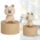 Animal Wooden Clockwork Music Boxes Children Kid 10
