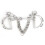 Stainless Steel kimberwicke Bit Solid Jointed 1