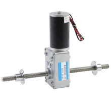 5840-31zy Double Thread Shaft Electric Motor DC 12V 24V Worm Gear Motor 160RPM High Torque Gearbox 1PC