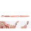 Nail Shaping Nail Glue Removal Clamp Stainless 8